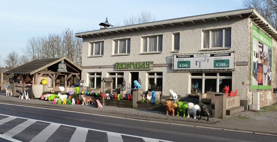Steigerhout shoppen in Gent